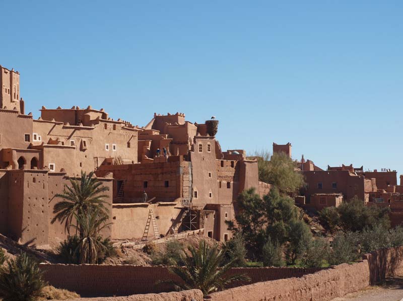 P2035493-Ourzazate-Cigogne au nid